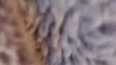 rocket991465530 online show from January 10, 7:04 am