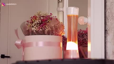 Rosalie online show from October 13, 4:03 am