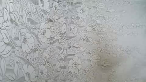 rosia online show from November 19, 2:33 am