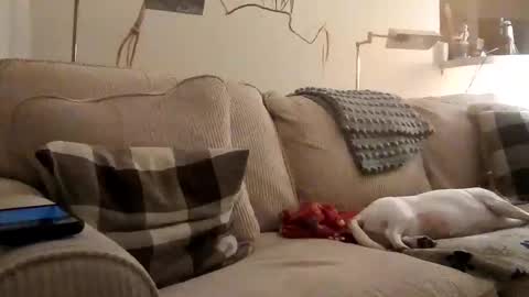 Snapshot of rustyx22 chatting on September 13, 2:14 am Rusty online show from September 13, 2:14 am