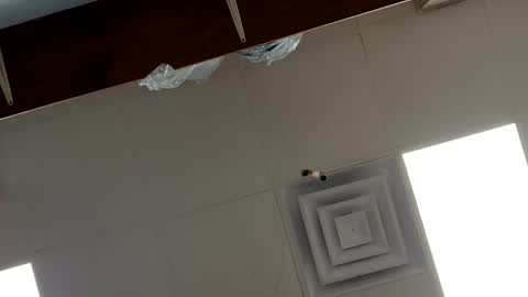 Snapshot of ryder393 chatting on October 31, 6:52 pm ryder393 online show from October 31, 6:52 pm