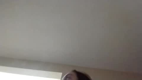 Snapshot of ryder393 chatting on September 12, 3:30 am ryder393 online show from September 12, 3:30 am