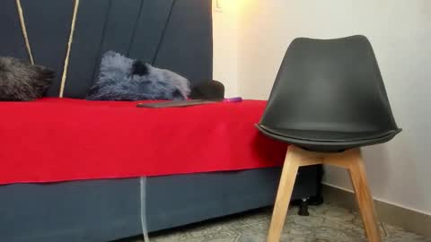 ryder_cum23 online show from February 6, 12:52 pm