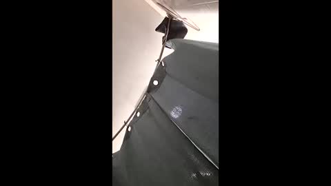 ryderdi6969 online show from February 25, 12:25 am