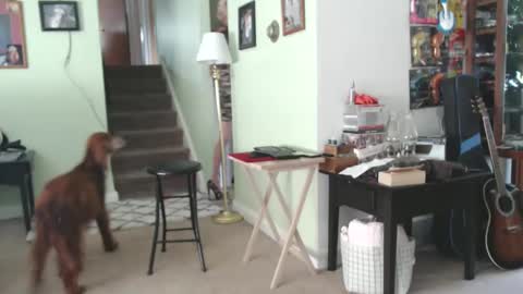 sab69 online show from September 23, 7:53 pm