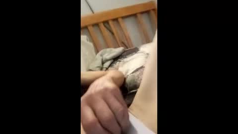 sadshadowdood online show from February 8, 3:21 am