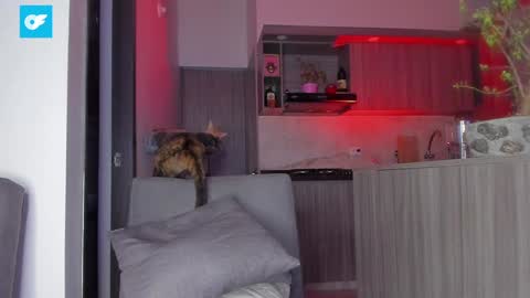 Sag online show from January 21, 1:50 am