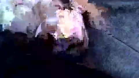 sam122227 online show from February 3, 9:08 am
