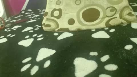 SAMANTHARUIZ18 online show from March 28, 4:08 pm