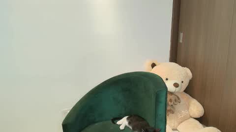 Sara online show from October 23, 6:37 am