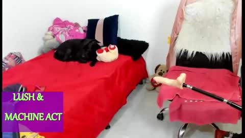 Sarah online show from April 14, 10:07 am