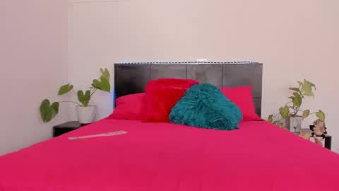 Girl next door online show from January 18, 8:51 pm