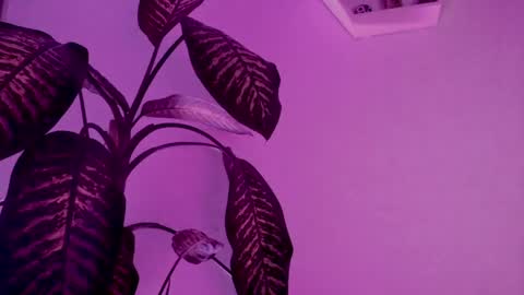 Saray  online show from March 24, 4:18 am