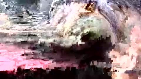 sarches online show from September 17, 9:13 am