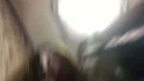 Princess online show from February 25, 11:59 pm