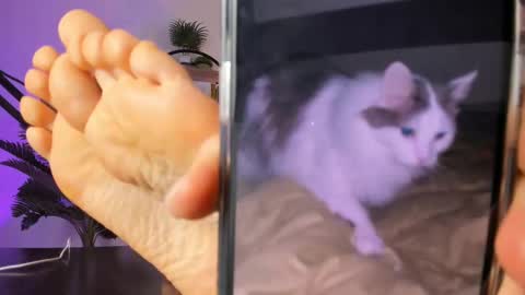 save the qween online show from February 14, 8:21 am