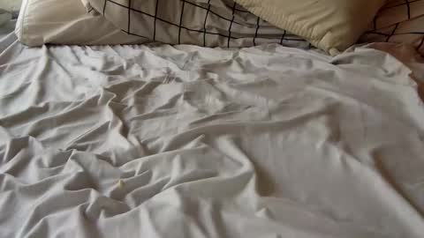 Stripper in Training online show from February 23, 8:11 pm