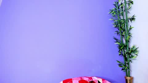 Denis online show from January 3, 2:08 pm