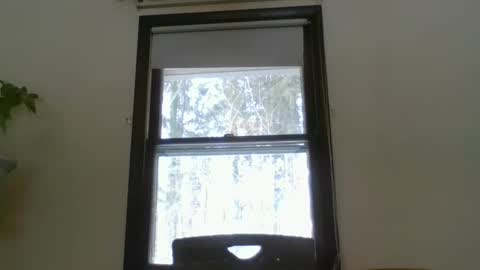 scottpbi52 online show from February 19, 3:16 pm