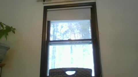 scottpbi52 online show from February 20, 1:30 pm