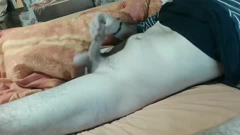 seb online show from February 5, 8:14 pm