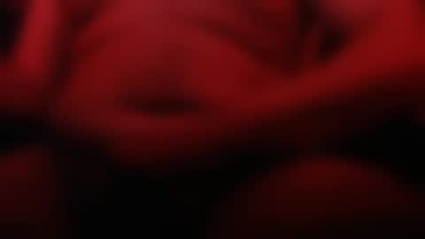 Snapshot of sebiche_ma_biche chatting on March 9, 2:50 am Apple online show from March 9, 2:50 am
