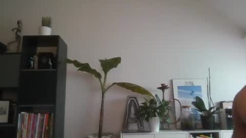 sebix9206 online show from December 5, 11:23 am