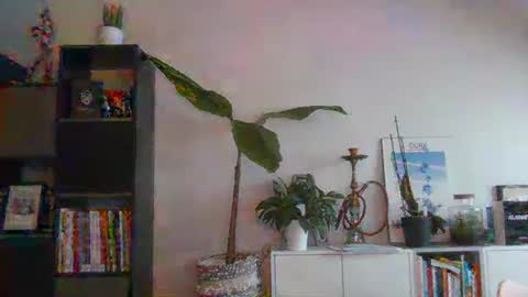 sebix9206 online show from February 13, 8:27 am