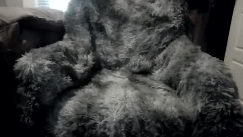 seductive_gibby online show from March 16, 1:31 am
