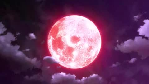 Selene G  online show from January 10, 5:57 am