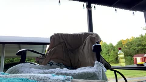 XCinTricK online show from September 10, 11:39 pm