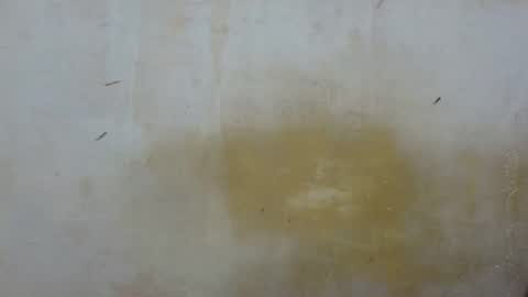 sexy_candy9 online show from March 24, 9:04 am