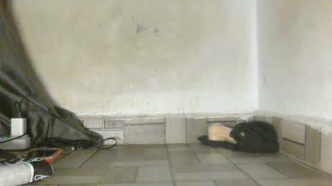 sexy_petitqueen online show from April 15, 8:06 am