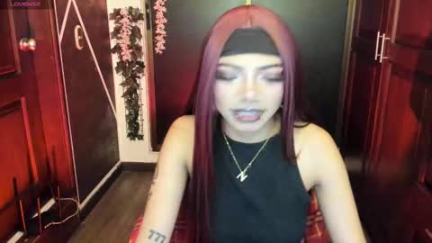 N A F online show from November 13, 9:17 pm