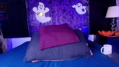 Shelsy online show from October 17, 12:20 pm