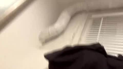 shreddylong online show from September 10, 3:40 am