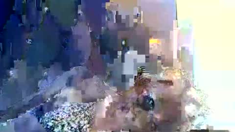 shugar7260 online show from October 30, 11:33 am