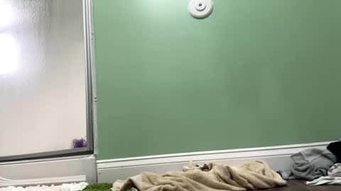 Sasha online show from February 27, 9:36 pm