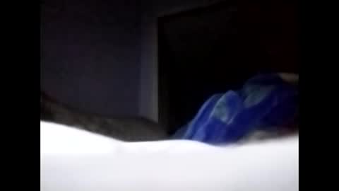 sil15nissan online show from March 27, 2:40 pm