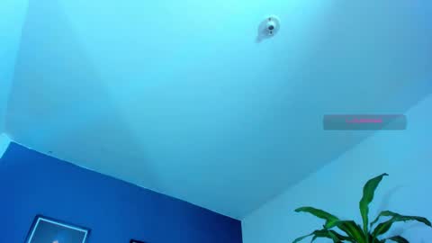 silvabranko online show from September 15, 12:01 am