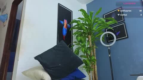 silvabranko online show from December 1, 1:25 am