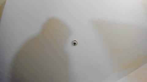 silvabranko online show from November 2, 11:05 pm