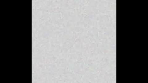 Willow online show from October 6, 7:15 am