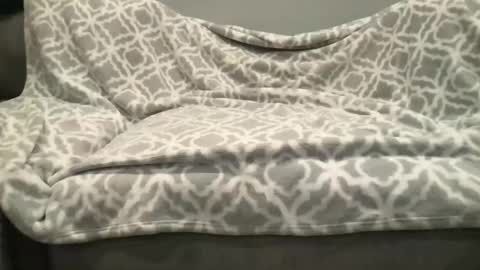 sissyboycum66 online show from March 16, 1:53 am