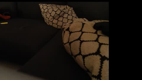 sissygirlalexandra online show from January 26, 1:31 am