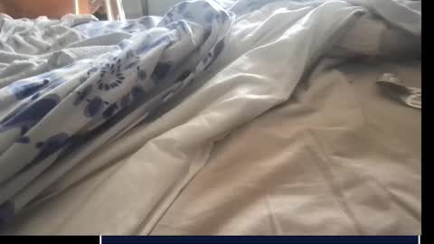 skima48 online show from September 17, 7:45 am