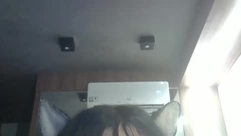 skinnykittencam online show from April 9, 1:20 am