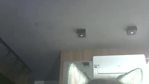 skinnykittencam online show from October 18, 2:38 am