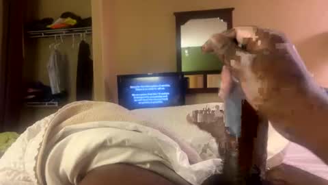Slim online show from October 26, 2:39 pm