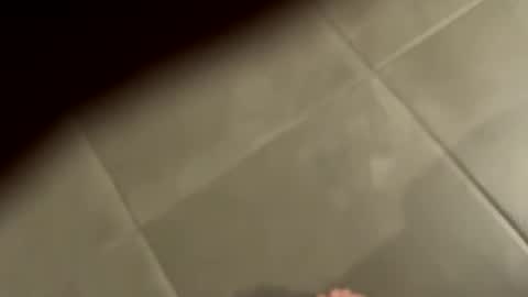 slimlord90 online show from January 25, 1:08 pm